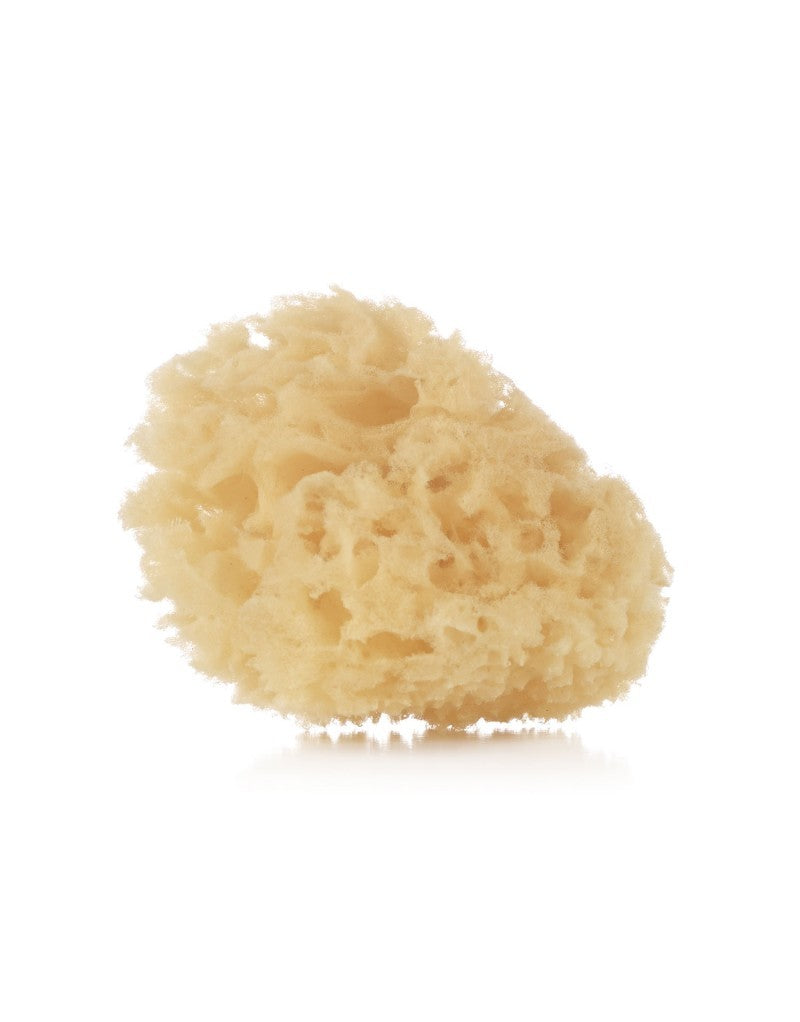 Esponja Natural Jané